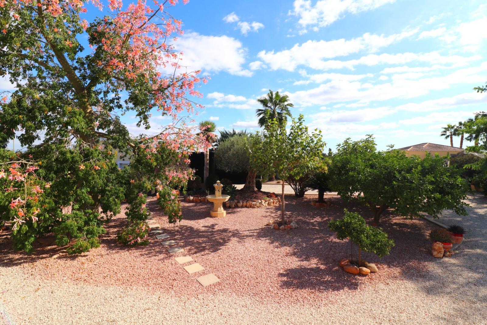 Finca en Venta en Orihuela