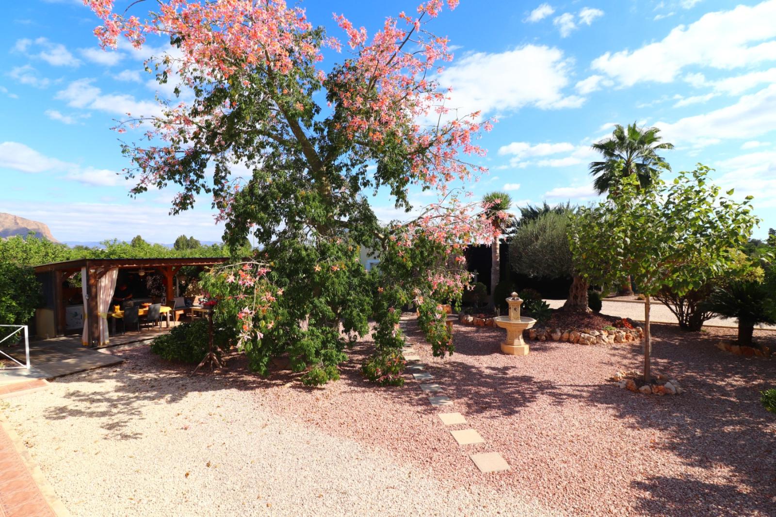 Finca en Venta en Orihuela