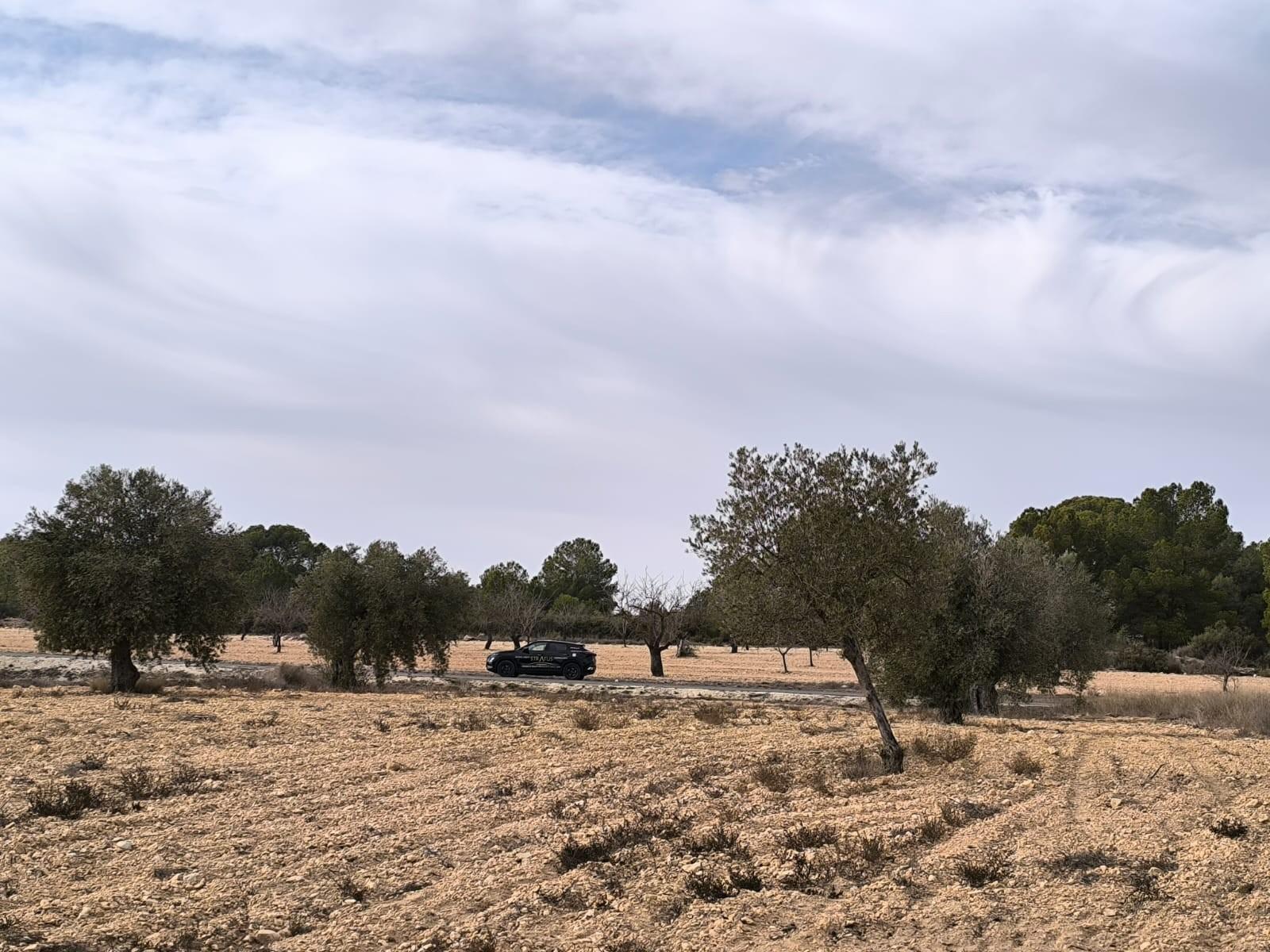 Villa en Venta en Monóvar