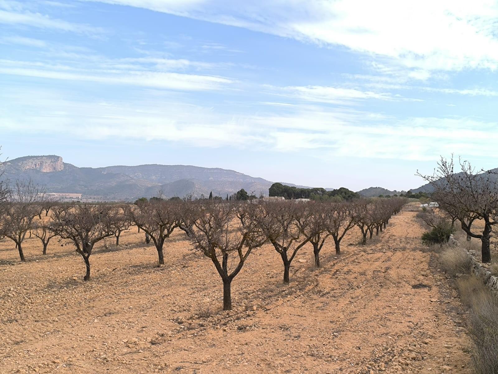 Villa en Venta en Monóvar