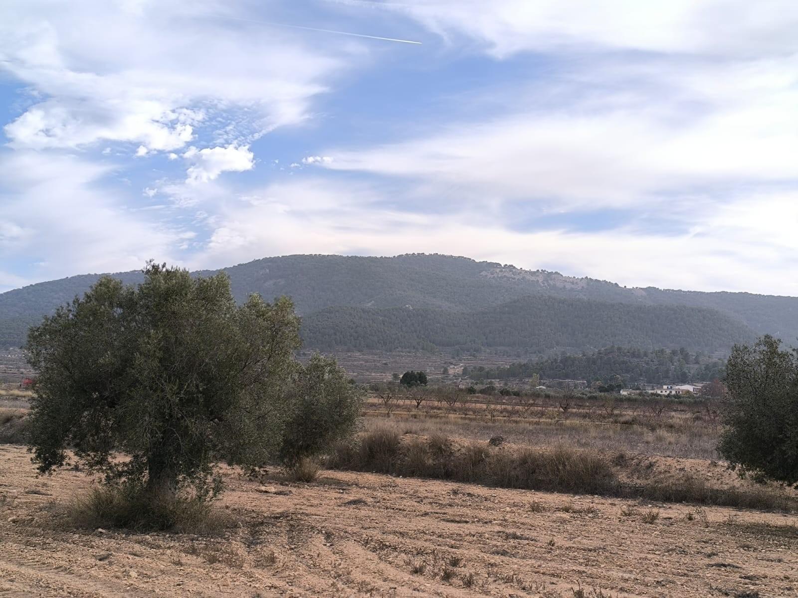 Villa en Venta en Monóvar