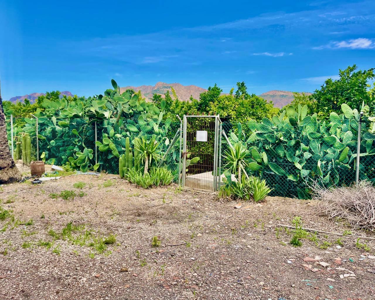 Finca en Venta en Orihuela
