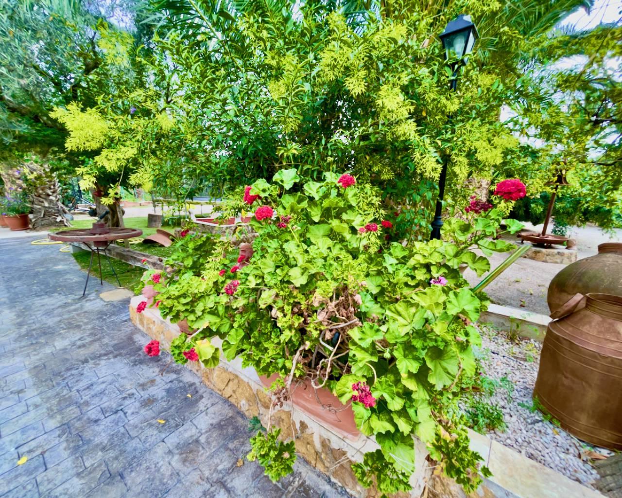 Finca en Venta en Orihuela