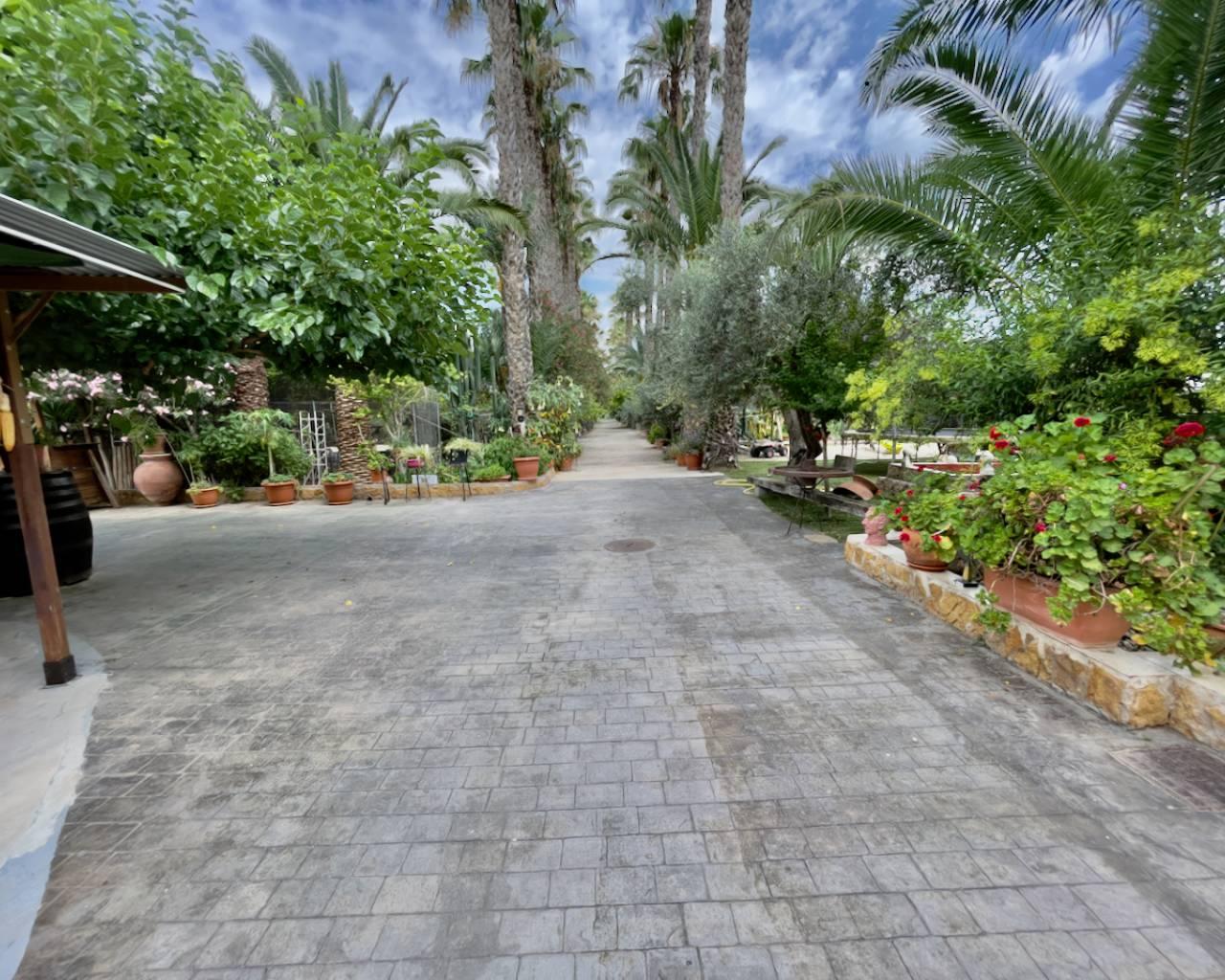Finca en Venta en Orihuela