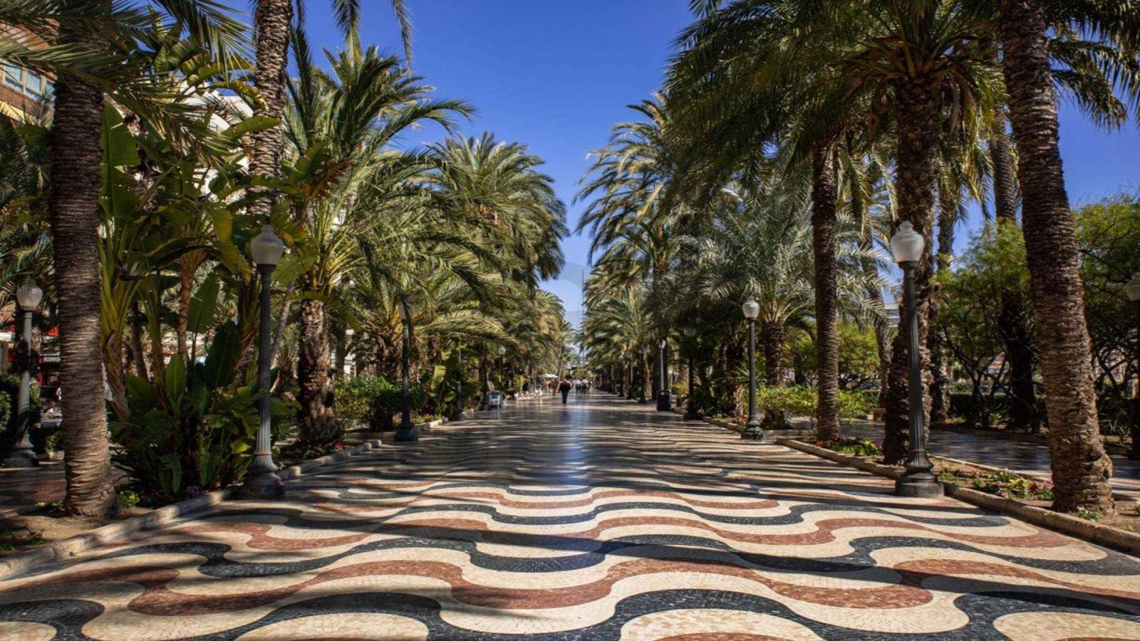 Penthouse for Sale in Alicante