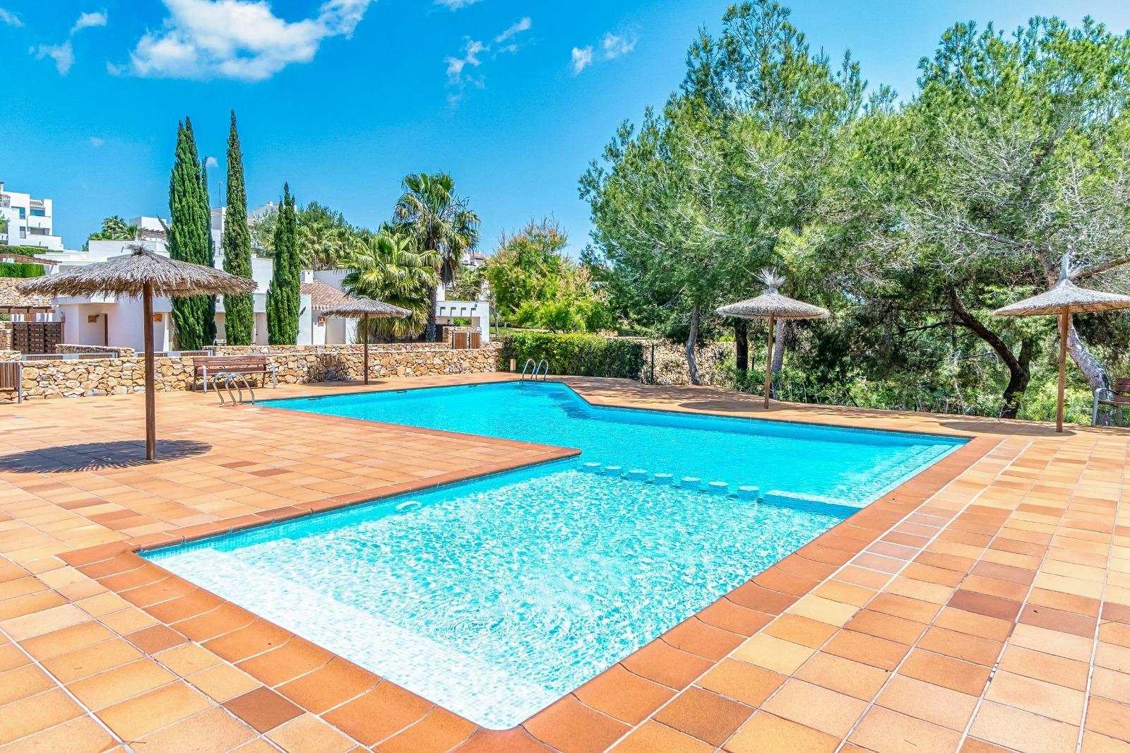 Penthouse for Sale in Orihuela