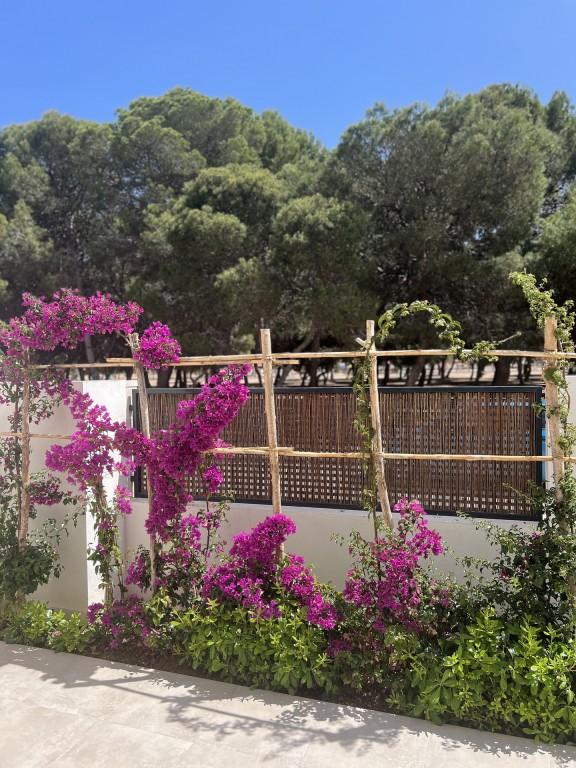 Apartment for Sale in San Javier