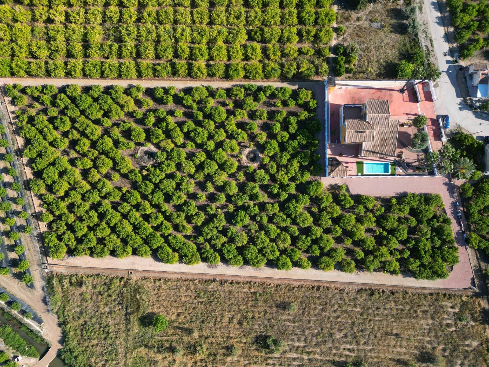 Finca en Venta en Orihuela