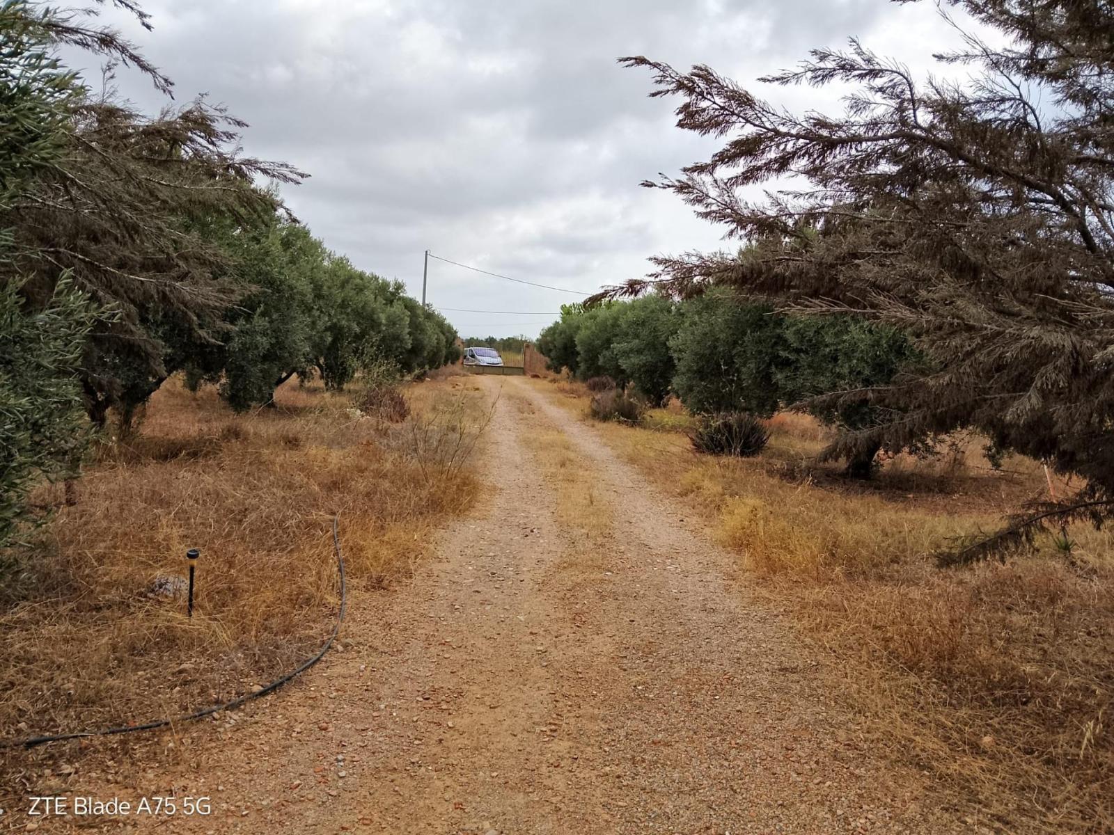 Finca en Venta en Cartagena
