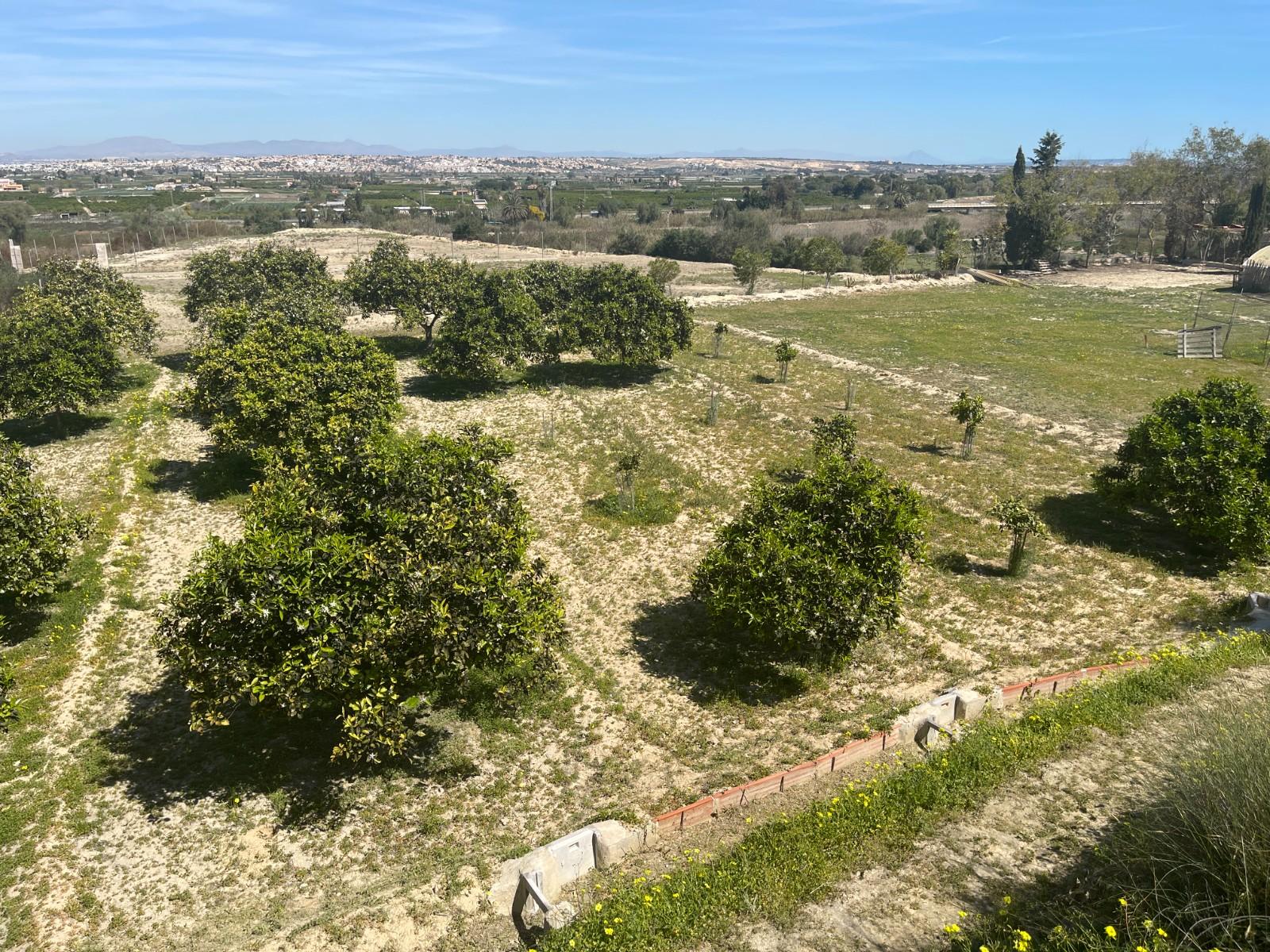 Villa for Sale in Guardamar del Segura