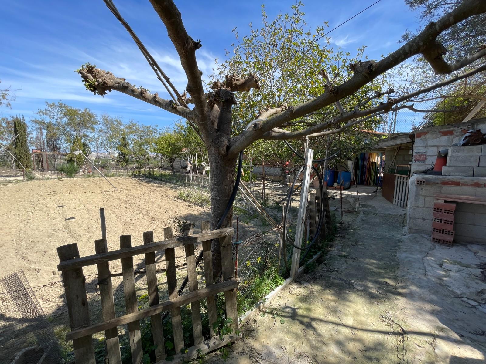 Villa for Sale in Guardamar del Segura