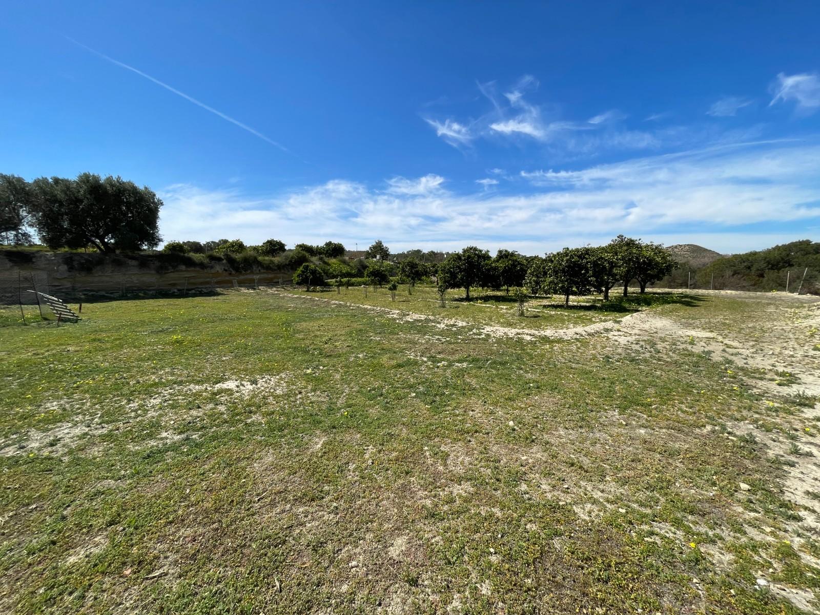 Villa for Sale in Guardamar del Segura