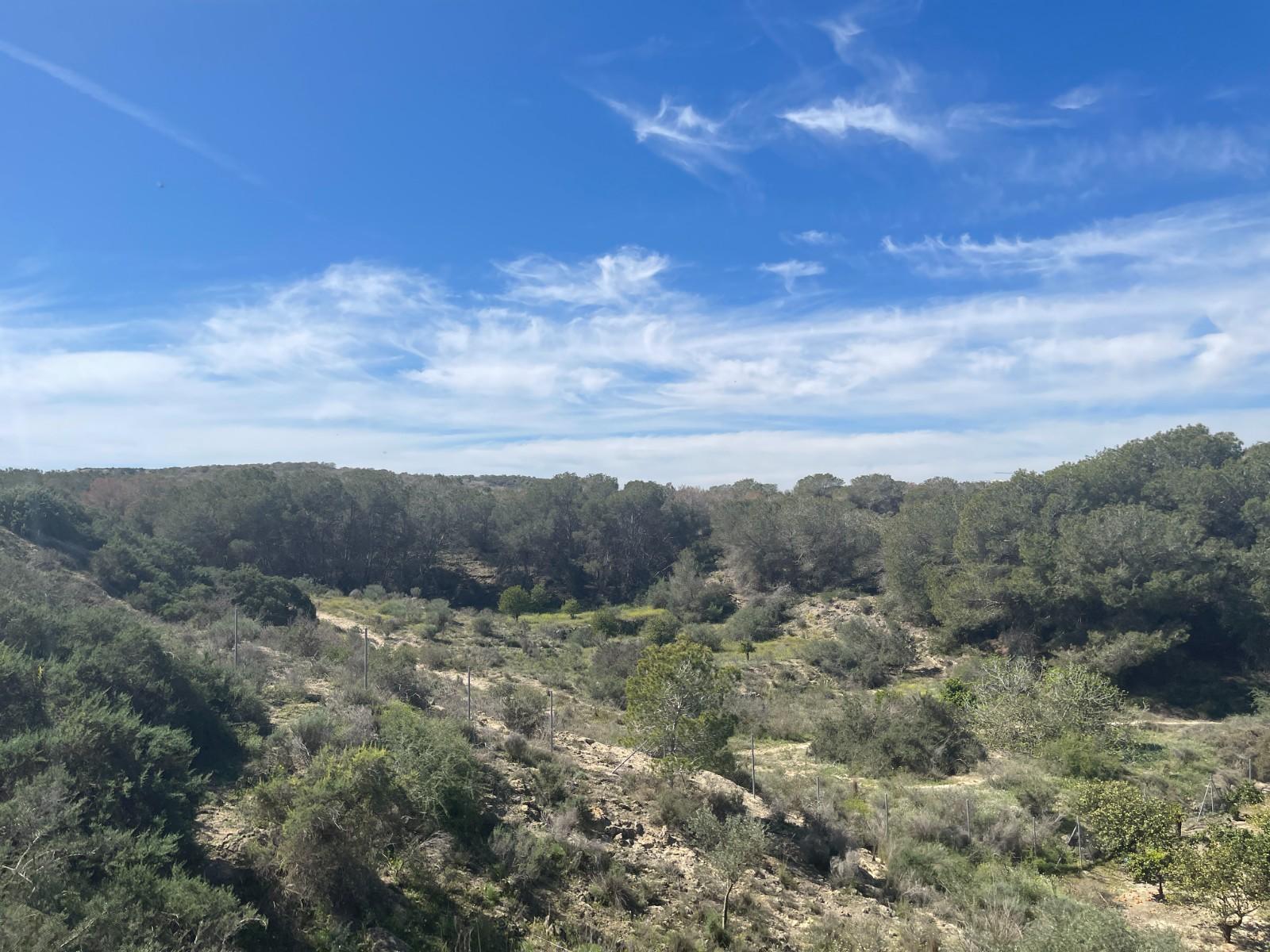 Villa for Sale in Guardamar del Segura