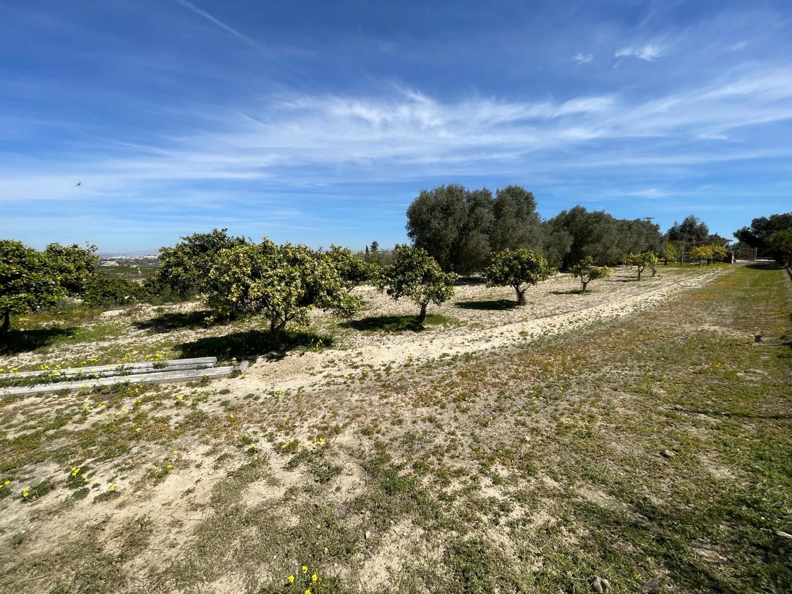 Villa for Sale in Guardamar del Segura