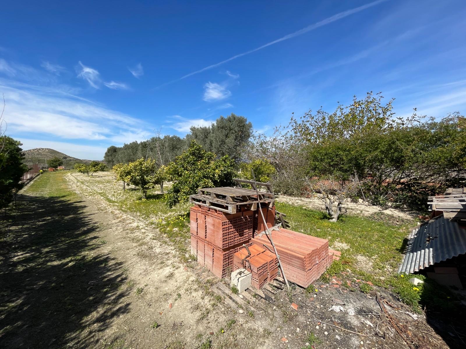 Villa for Sale in Guardamar del Segura