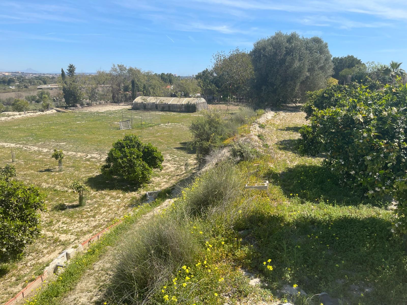 Villa for Sale in Guardamar del Segura