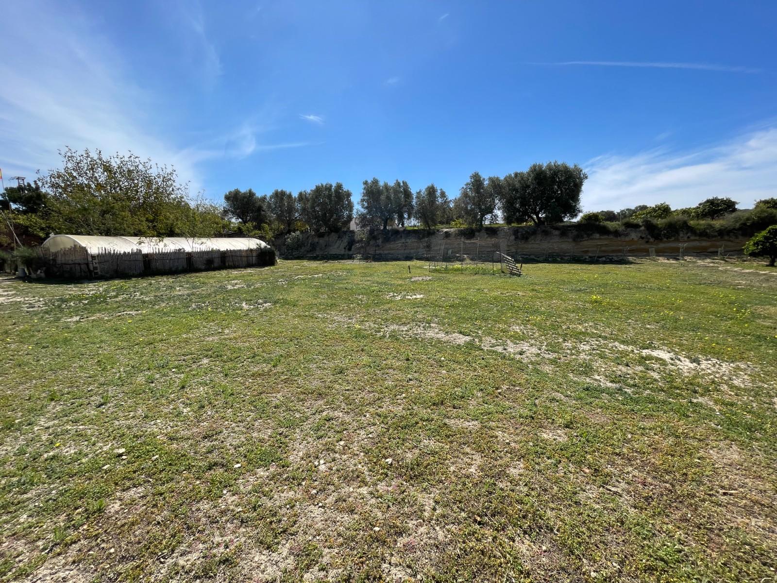 Villa for Sale in Guardamar del Segura