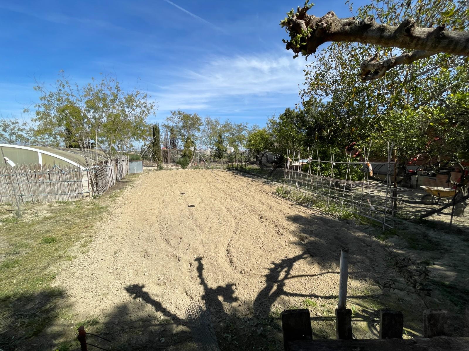 Villa for Sale in Guardamar del Segura