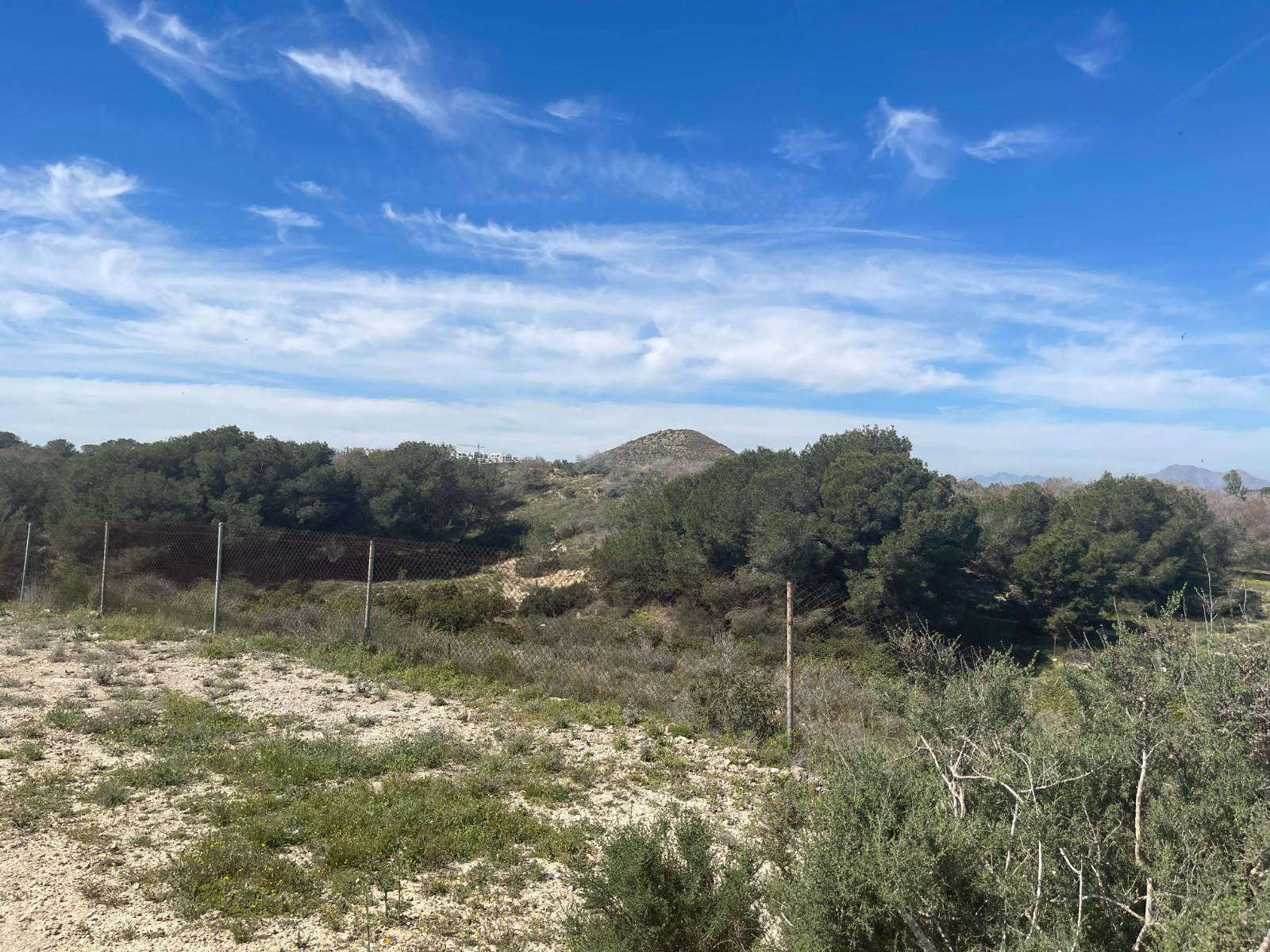 Villa for Sale in Guardamar del Segura