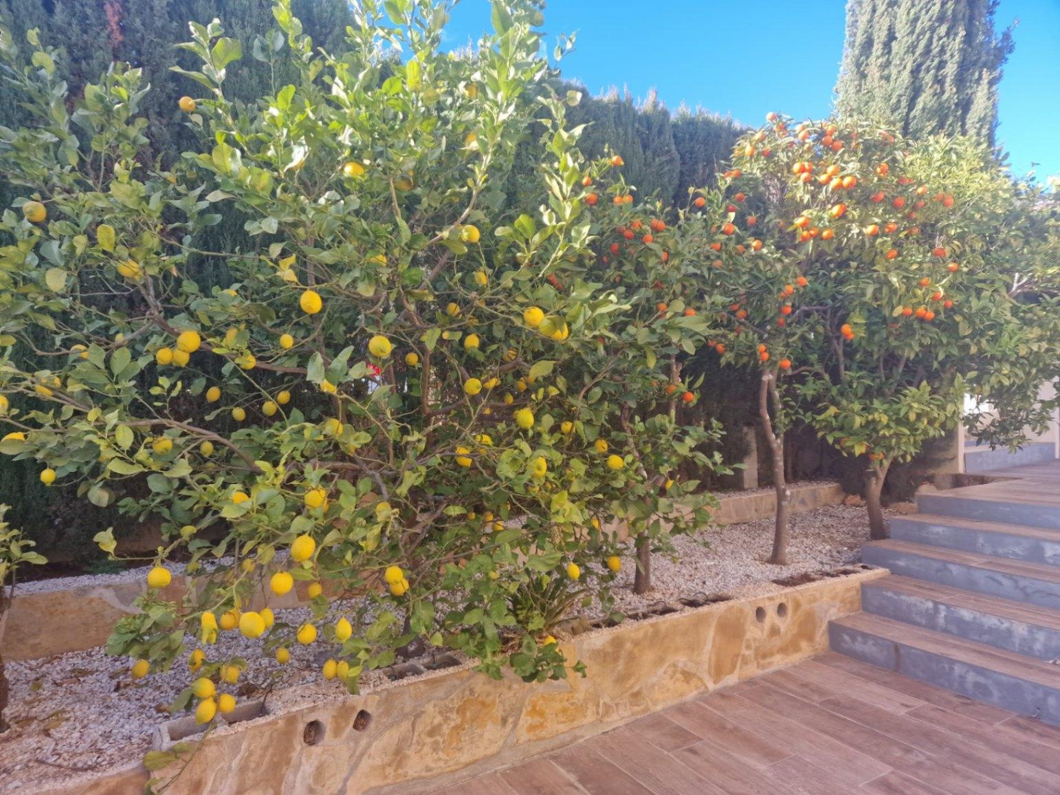 Villa en Venta en Benitachell