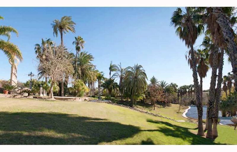 Villa for Sale in Orihuela