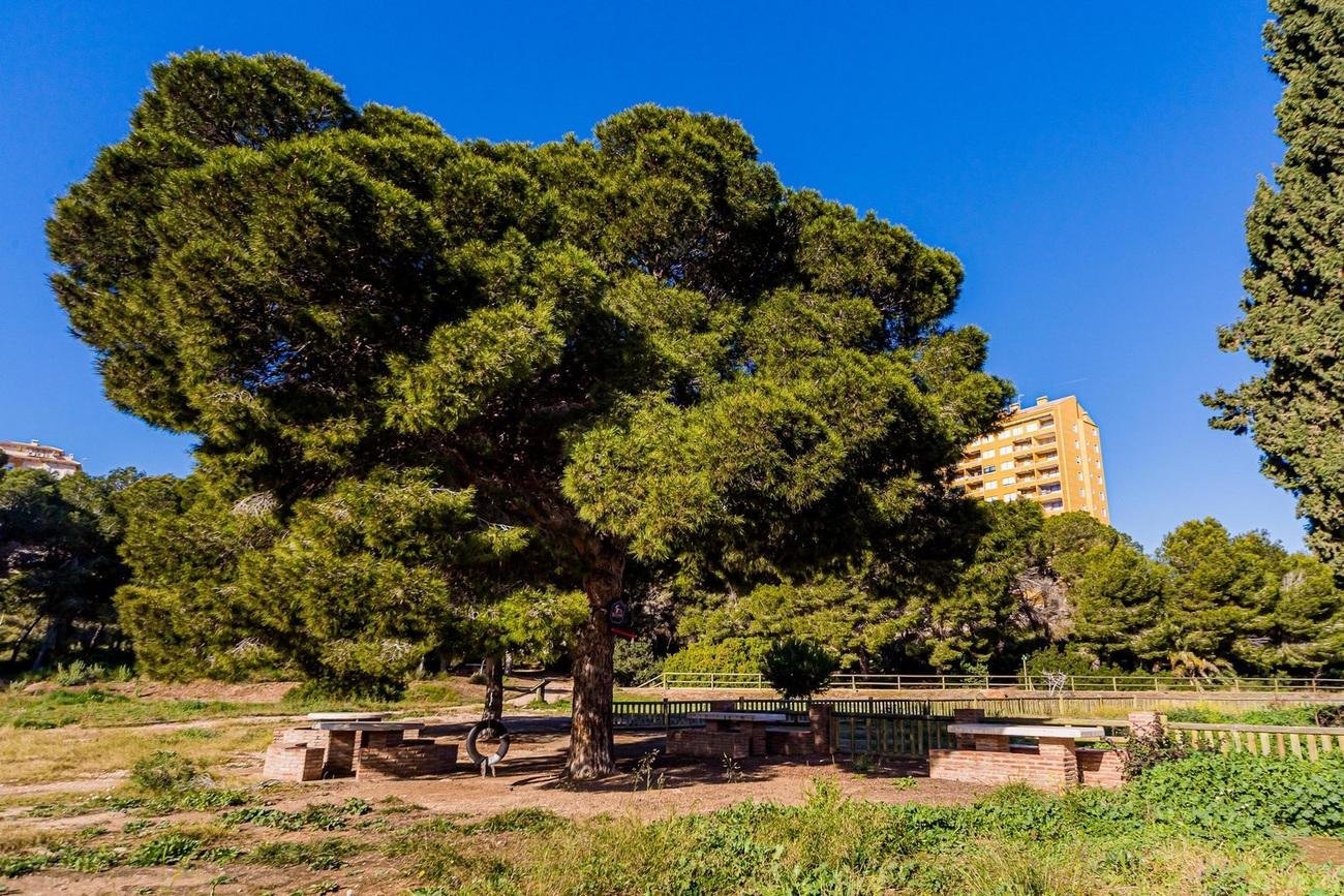 Duplex for Sale in Orihuela