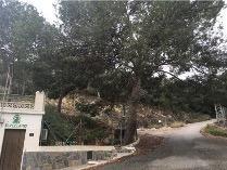 Parcela en Venta en Orihuela