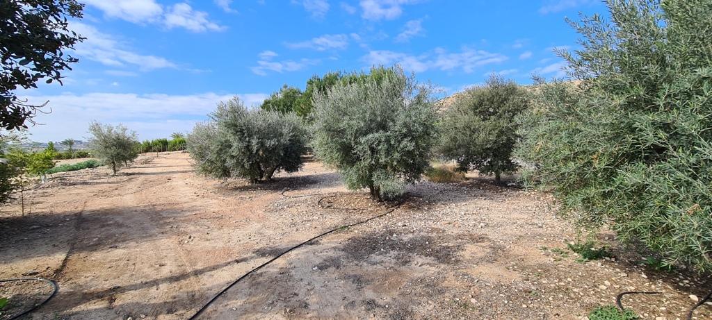 Villa en Venta en Orihuela