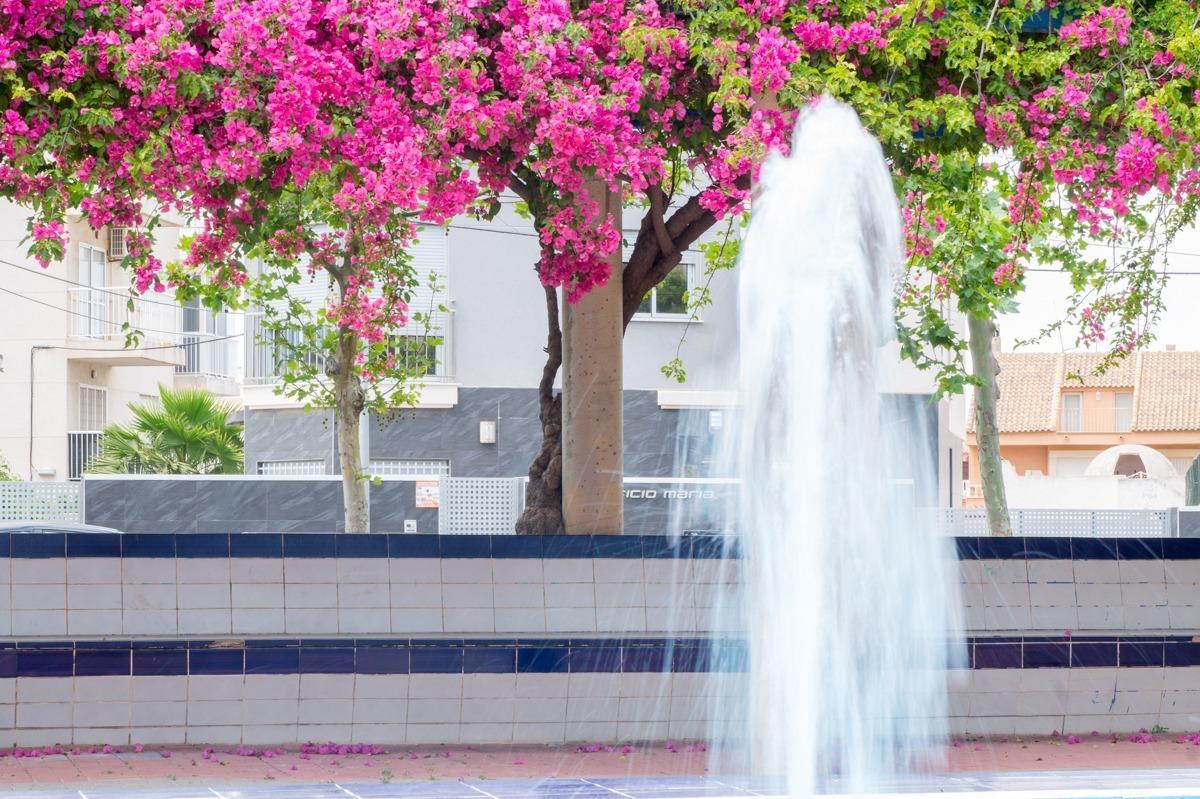 Apartamento en Venta en Torrevieja