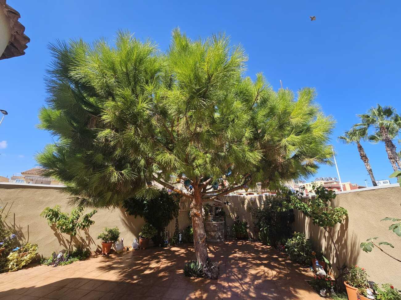 Villa en Venta en Torrevieja