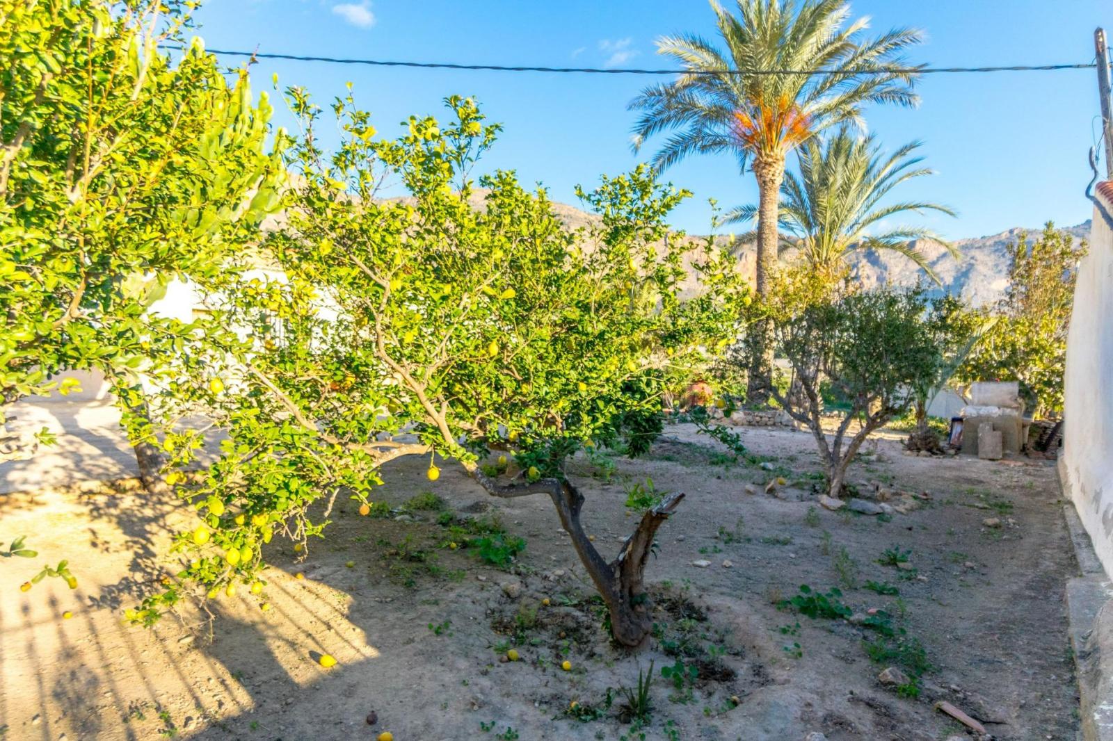 Finca en Venta en Orihuela