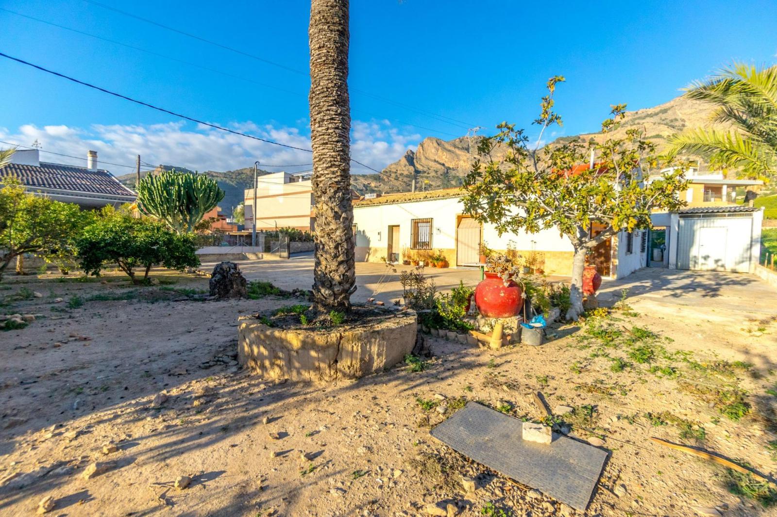 Finca en Venta en Orihuela