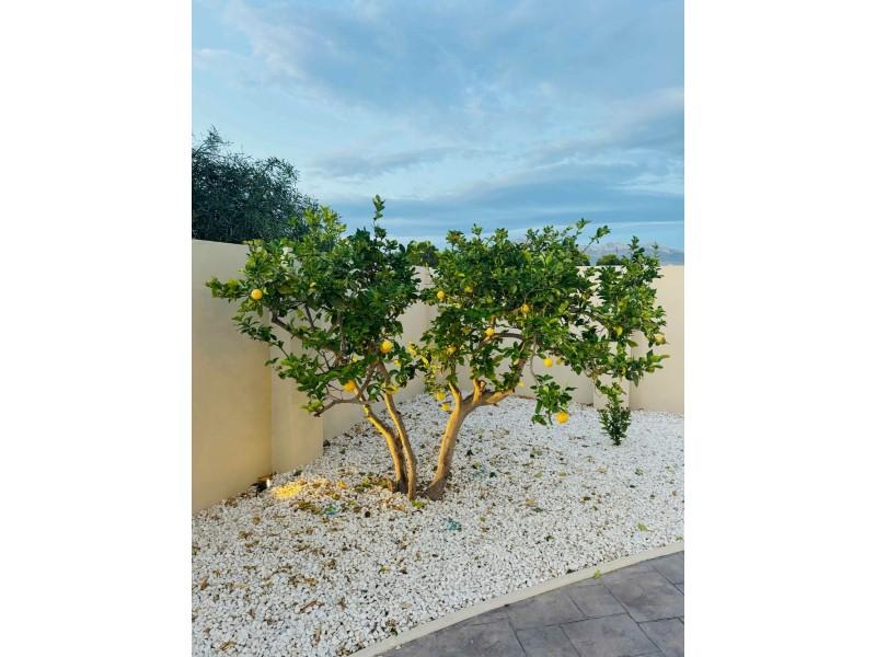 Villa en Venta en Alfaz del Pi