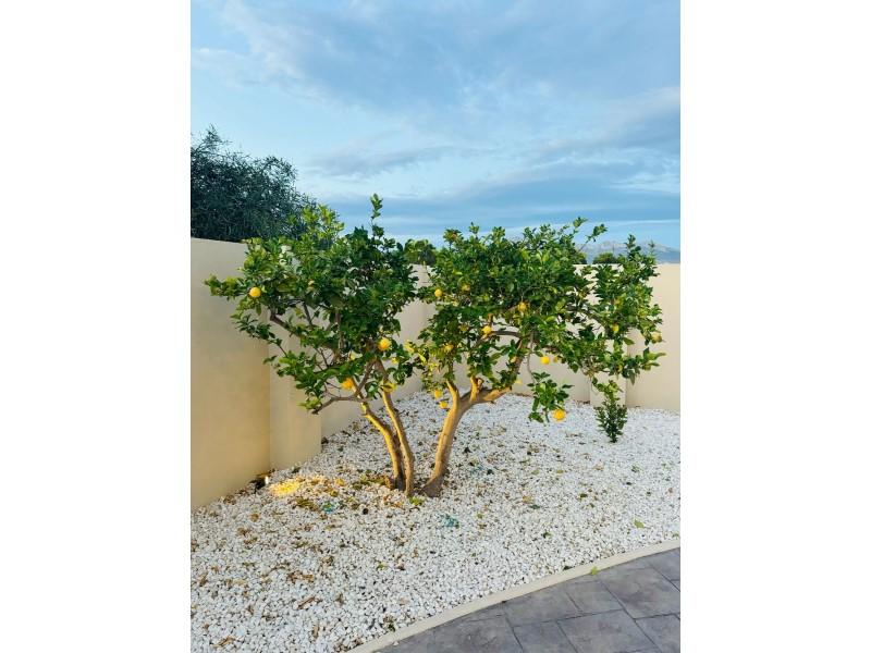 Villa en Venta en Alfaz del Pi