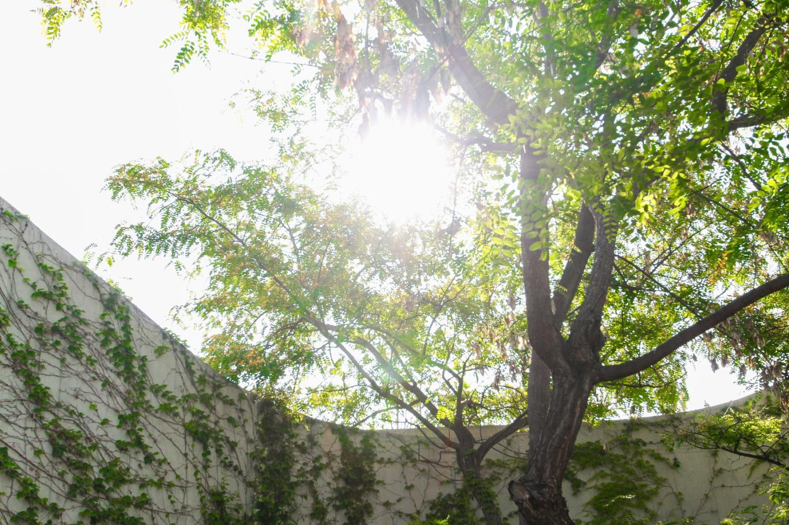 Villa en Venta en San Vicente del Raspeig