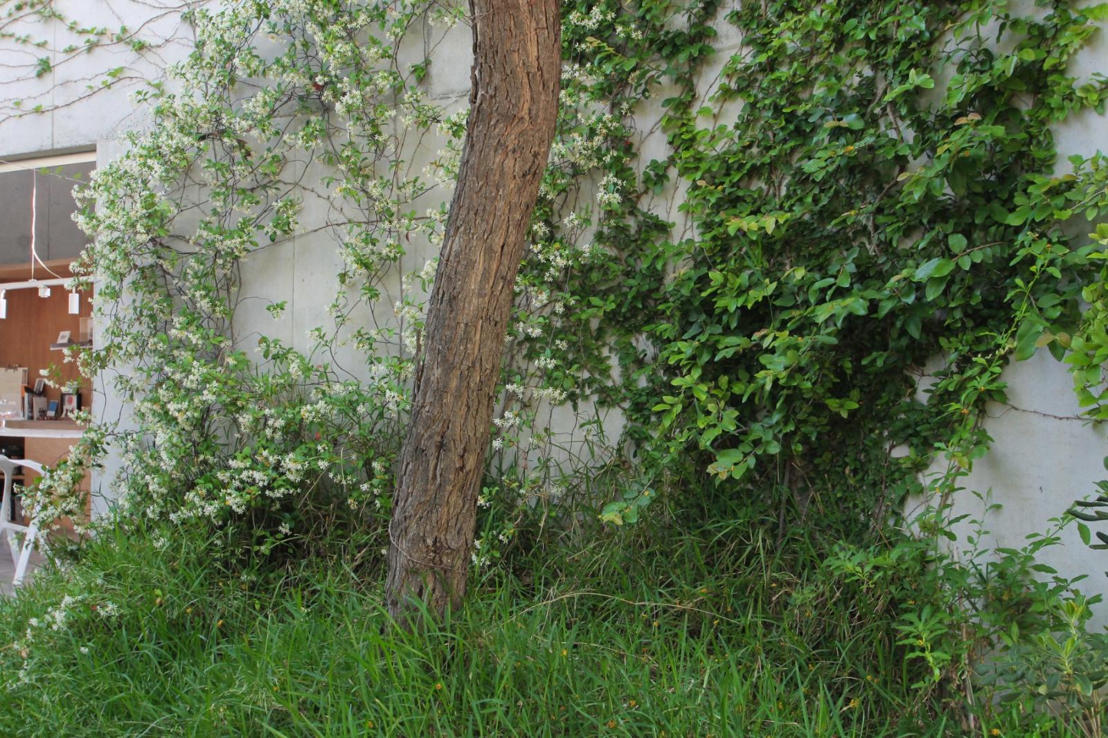 Villa en Venta en San Vicente del Raspeig