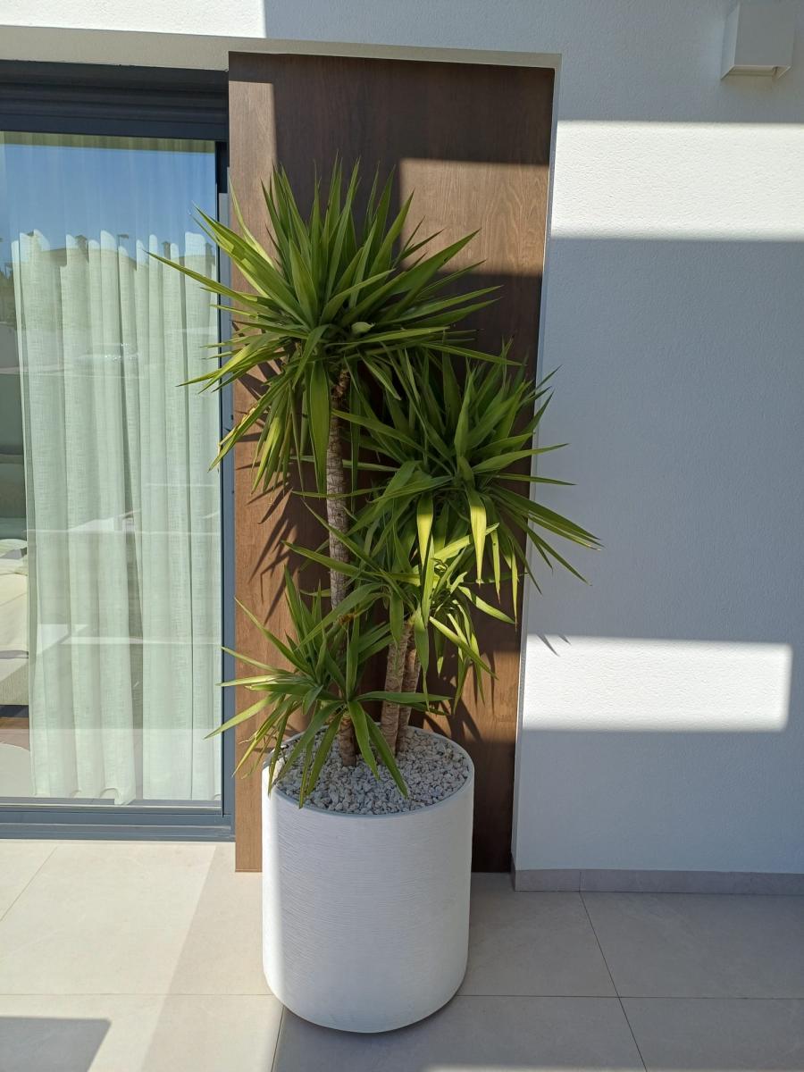 Villa for Sale in Rojales