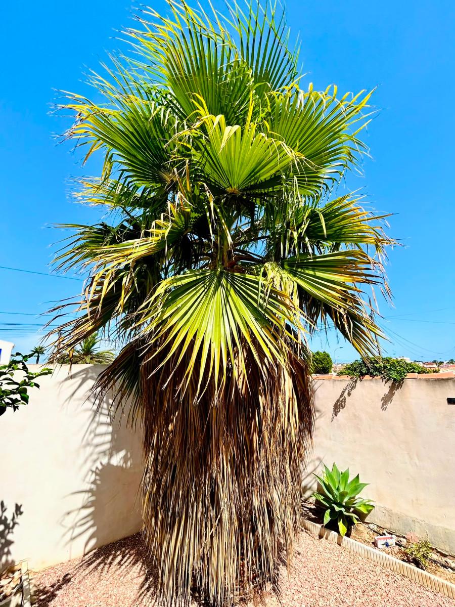 Villa en Venta en Torrevieja