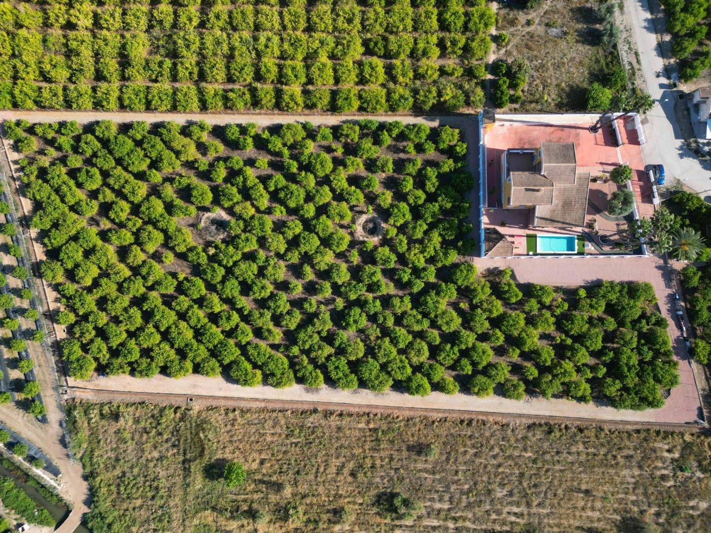 Finca en Venta en Orihuela