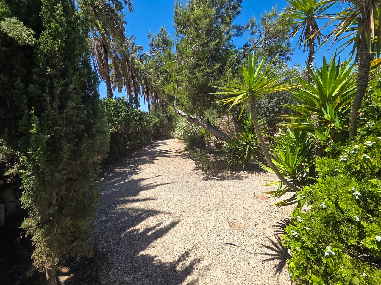 Villa for Sale in Elche