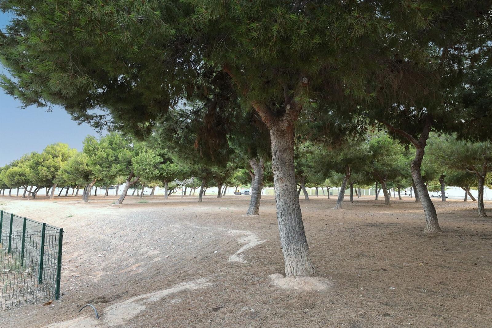 Bungalow for Sale in San Pedro del Pinatar