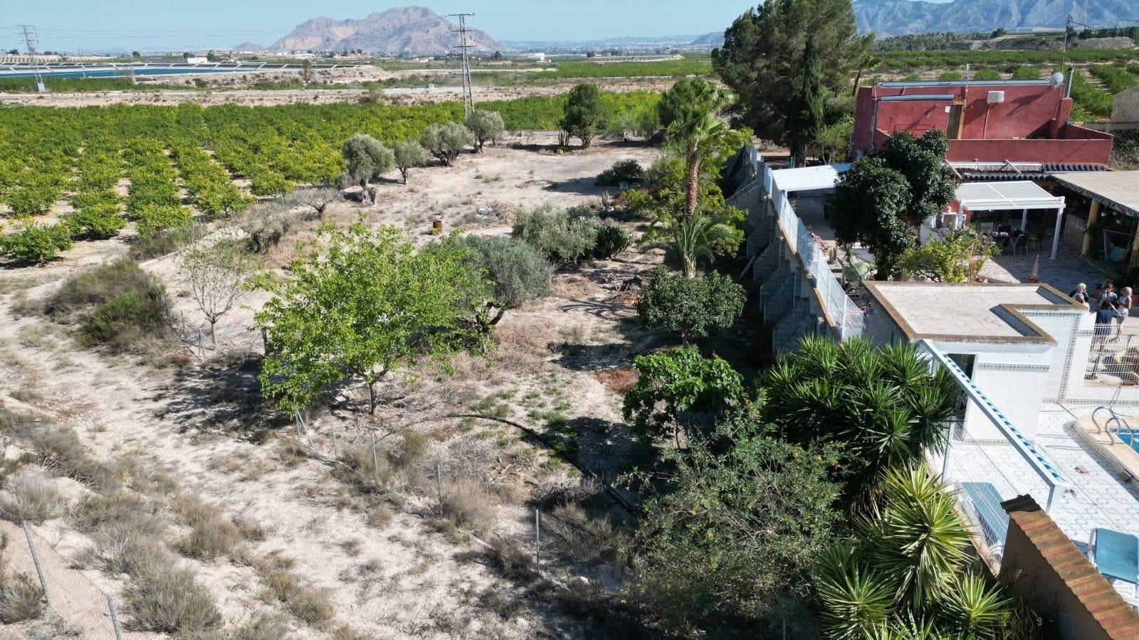 Finca en Venta en Orihuela