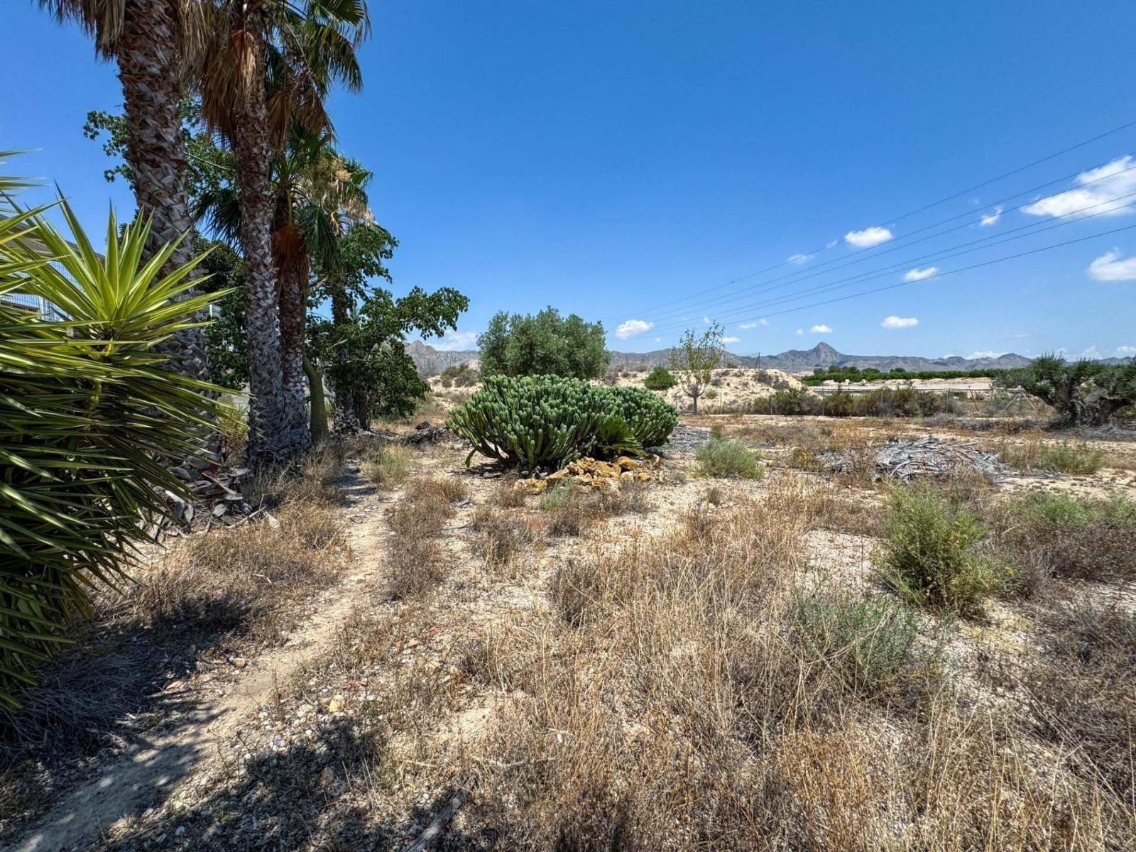 Finca en Venta en Orihuela
