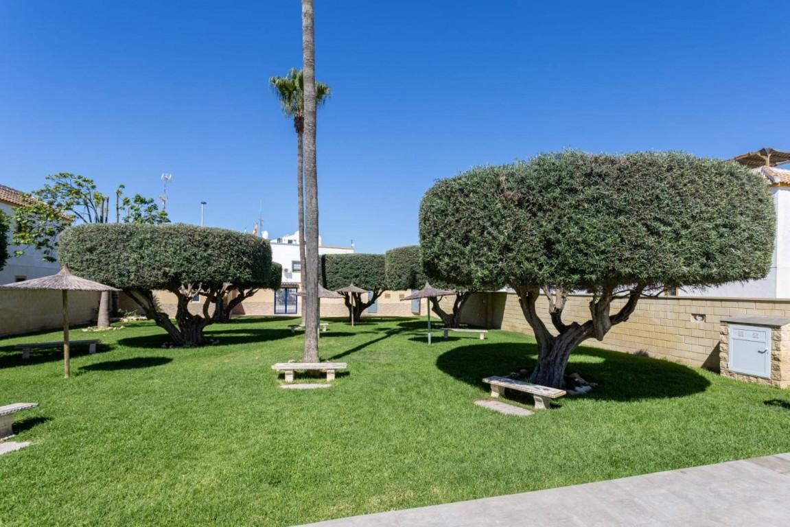 Apartamento en Venta en Torrevieja