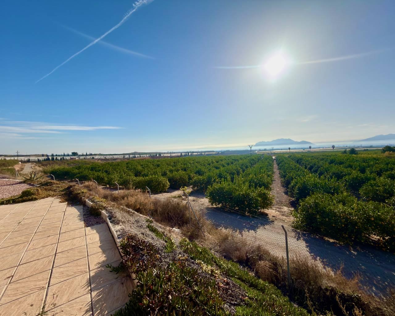Finca en Venta en Orihuela
