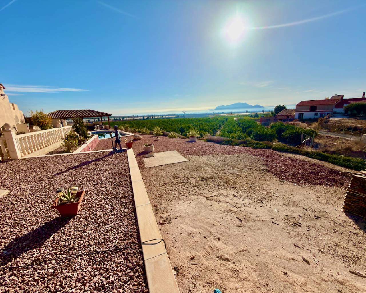 Finca en Venta en Orihuela
