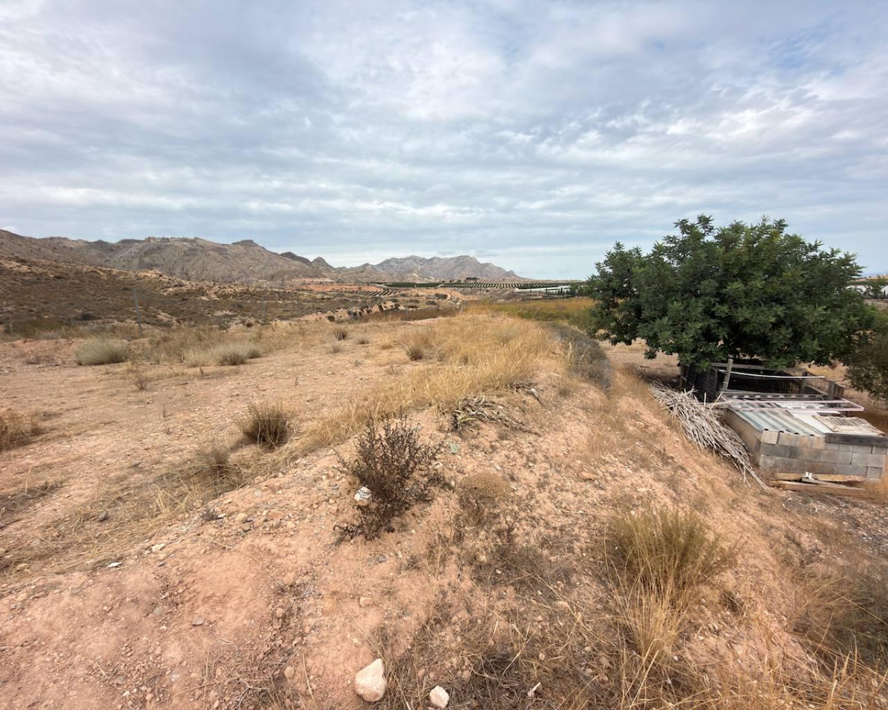 Finca en Venta en Orihuela