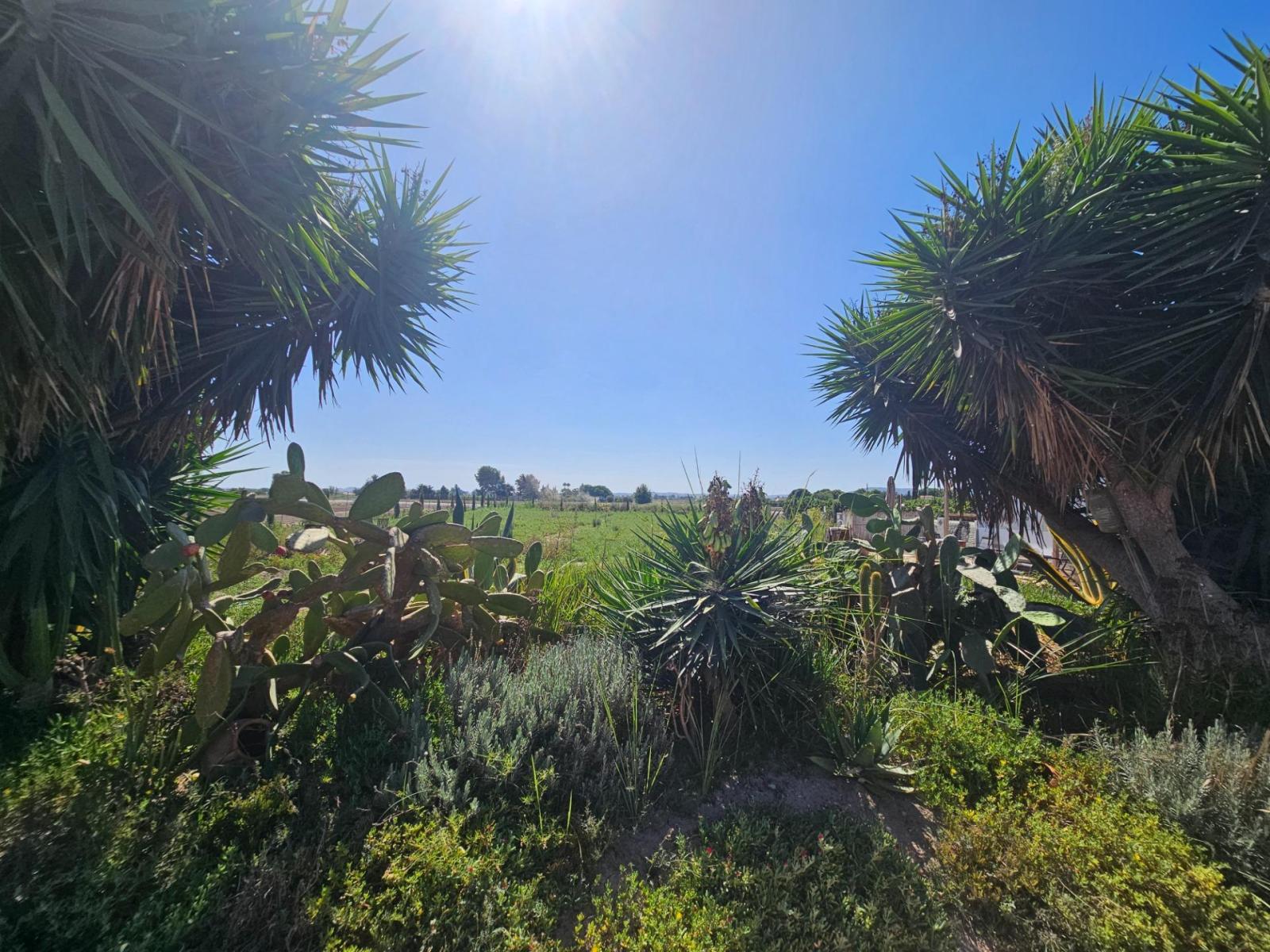Villa en Venta en Orihuela