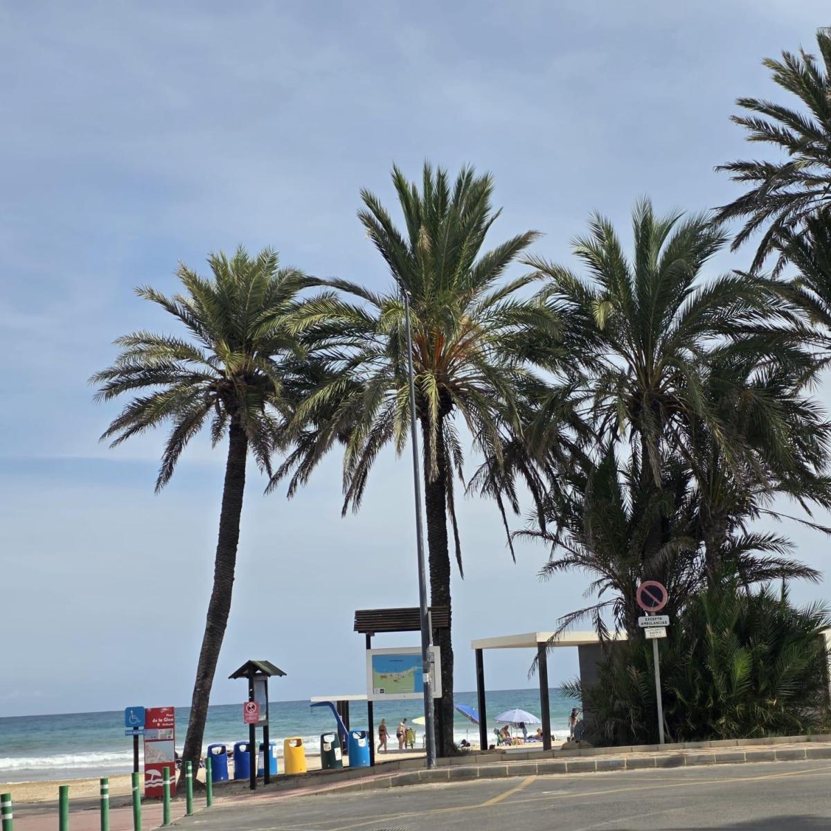 Apartamento en Venta en Orihuela
