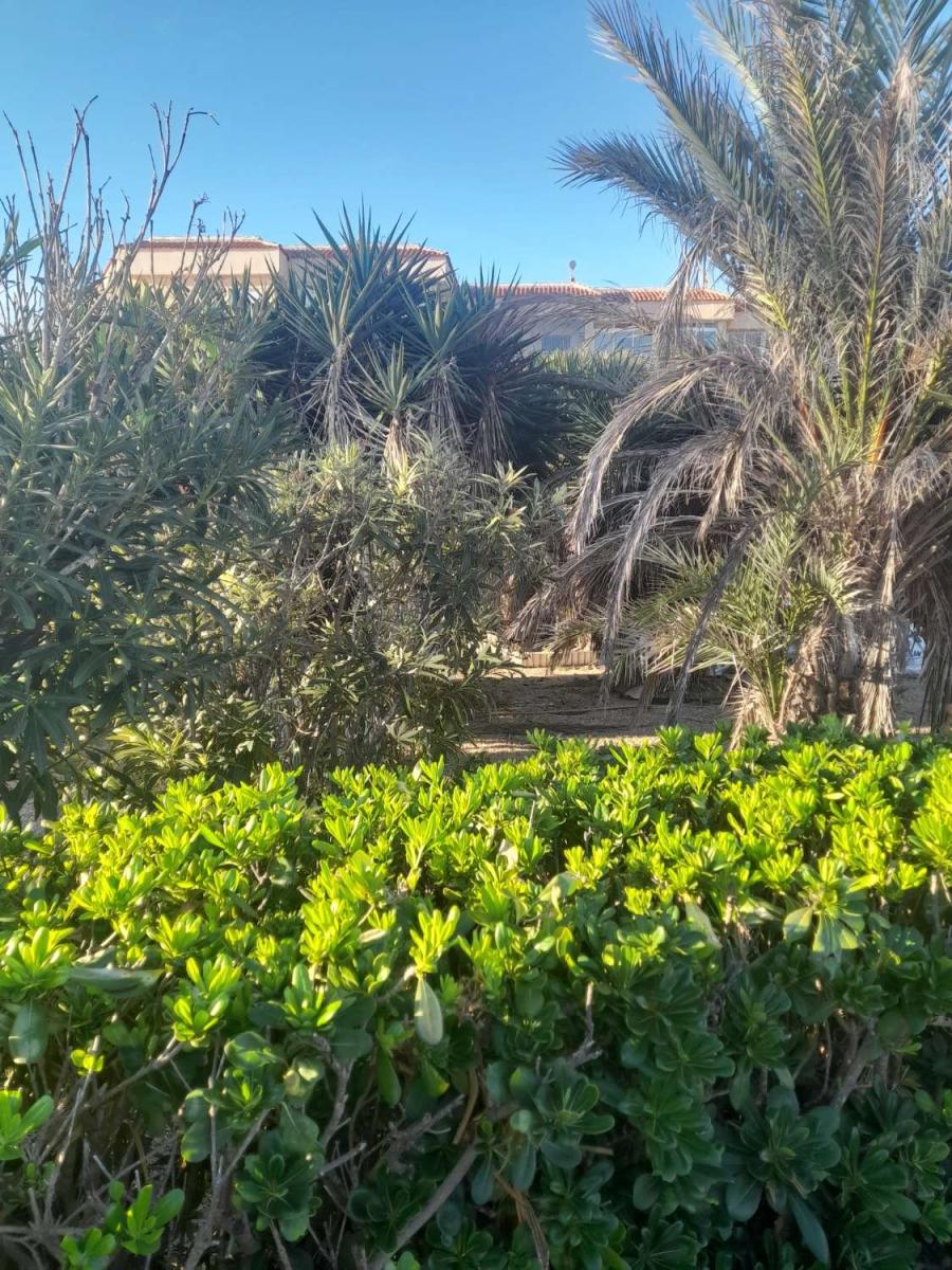 Villa en Venta en Torrevieja